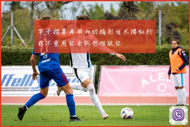 华子招募库明加的精彩话术揭秘科尔不重用你全队也难敌你