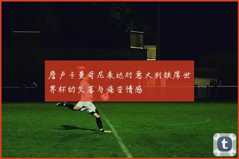 詹卢卡曼奇尼表达对意大利缺席世界杯的失落与痛苦情感