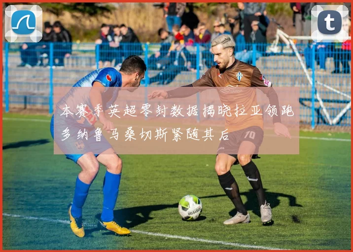 本赛季英超零封数据揭晓拉亚领跑多纳鲁马桑切斯紧随其后